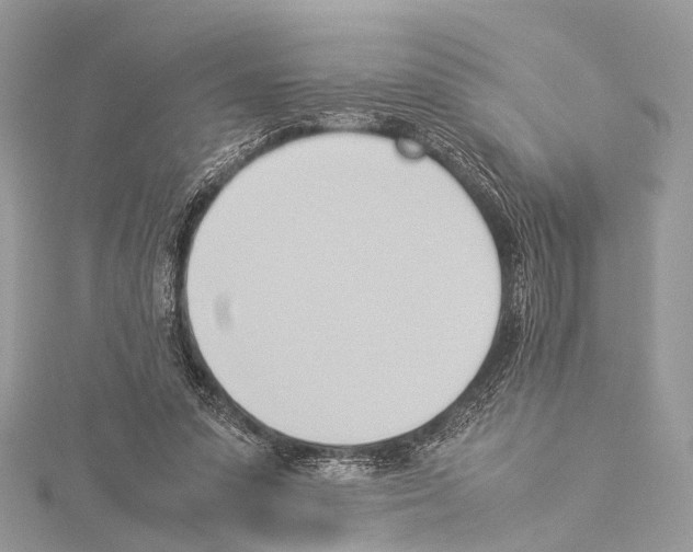 X0000114150303200911191210