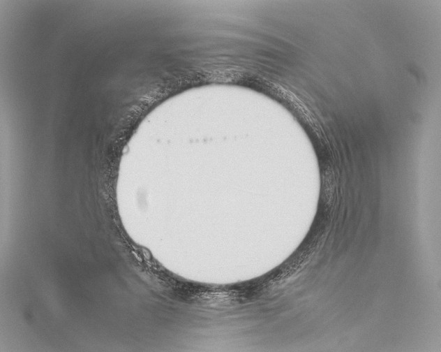 X0000114150307200911191210
