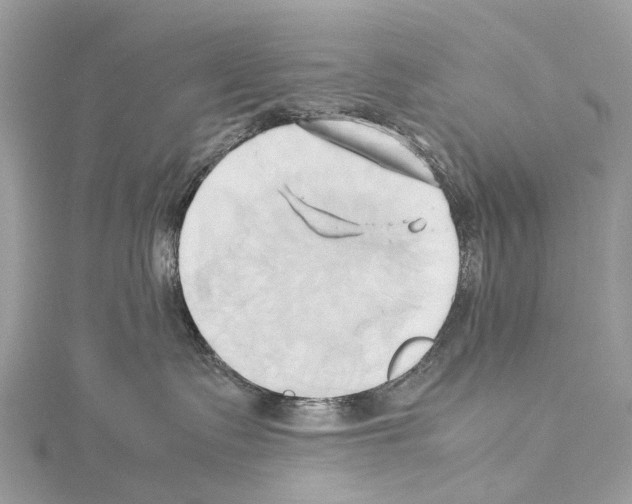 X0000114150335200911191210