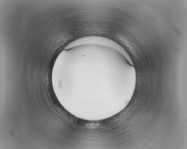 X0000114150362200911191209