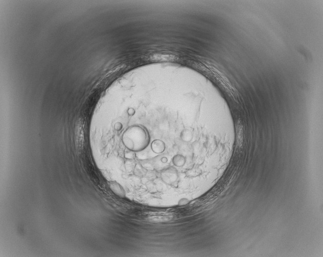 X0000114150363200911191209