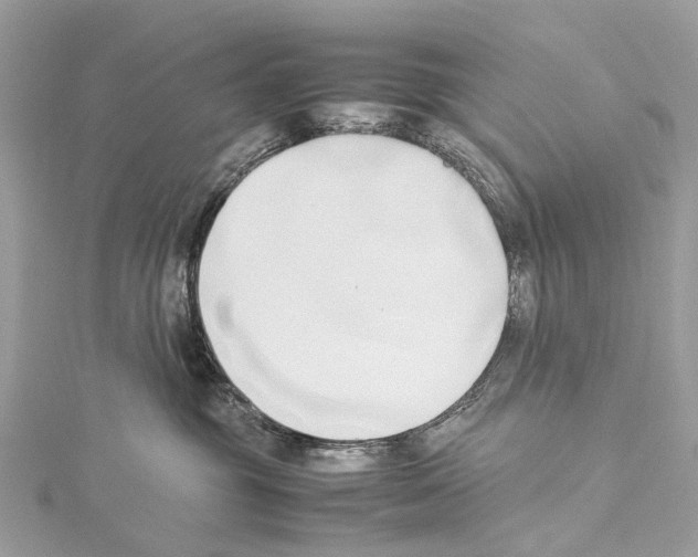 X0000114150381200911191210