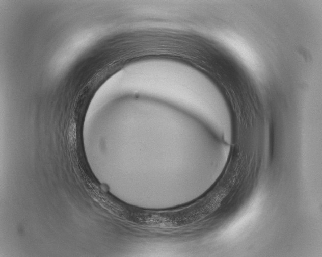 X0000114150387200911191209
