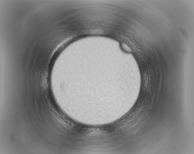 X0000114150392200911191209