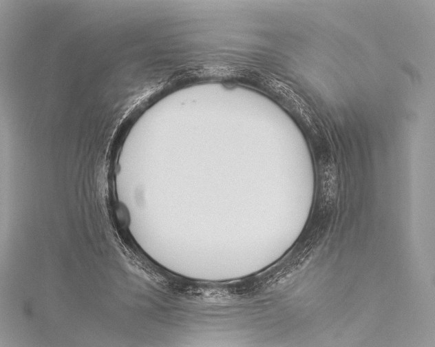 X0000114150395200911191209
