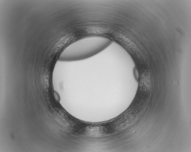 X0000114150452200911191208
