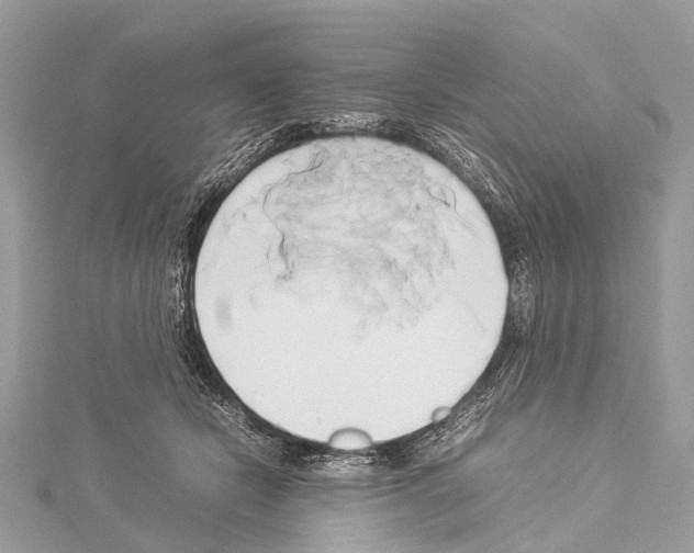 X0000114150462200911191208
