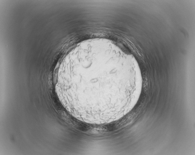 X0000114150466200911191208