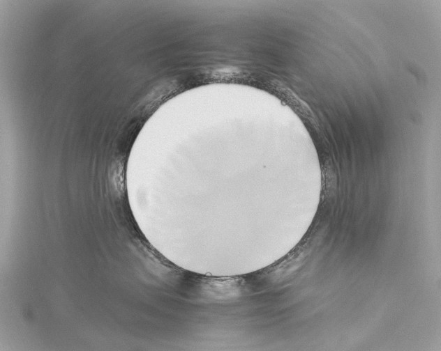 X0000114150479200911191208