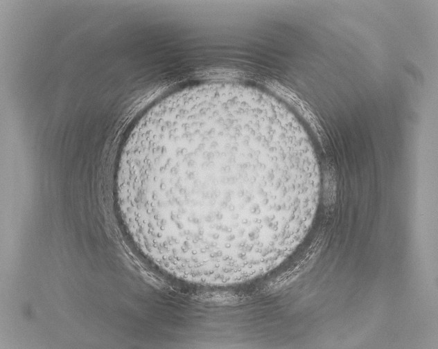 X0000114150529200911191206