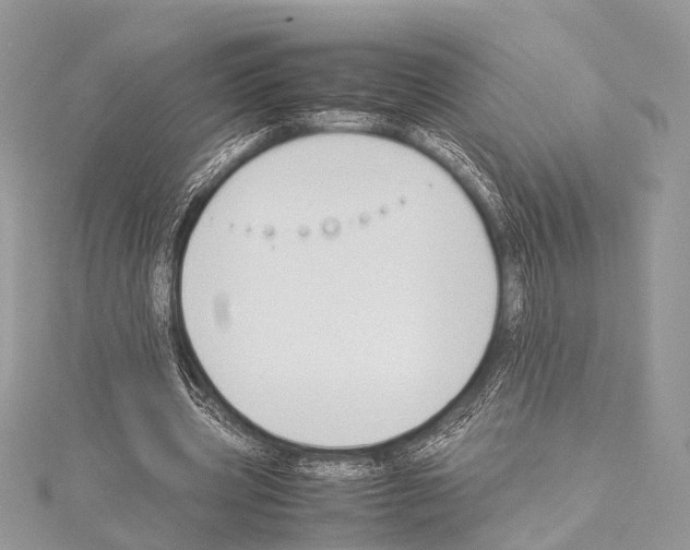 X0000114150533200911191206