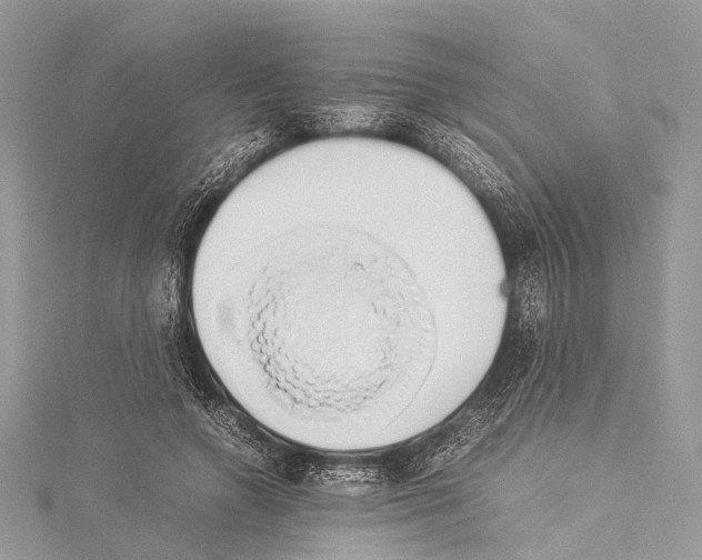 X0000114150546200911191207