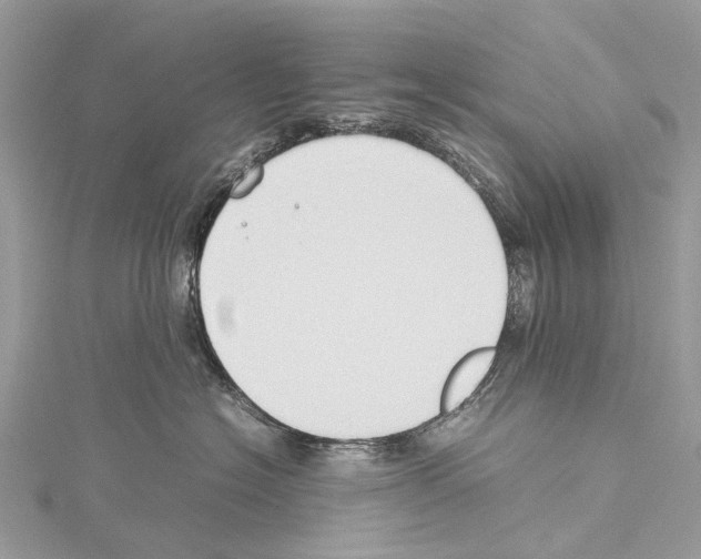 X0000114150574200911191207