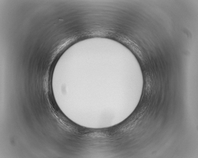 X0000114150578200911191206