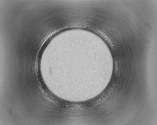 X0000114150580200911191206