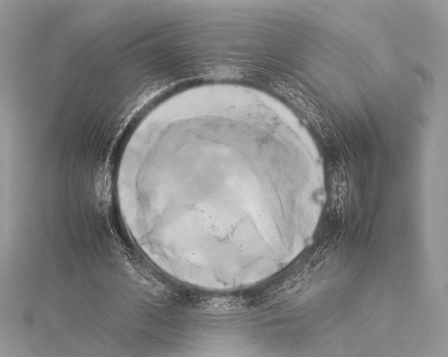 X0000114150584200911191206