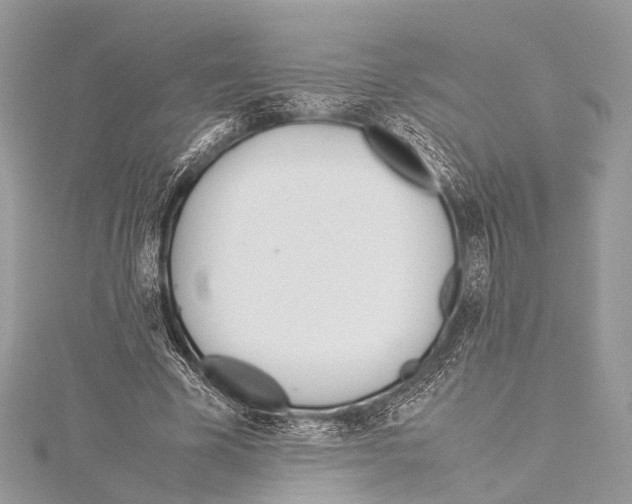X0000114150585200911191206