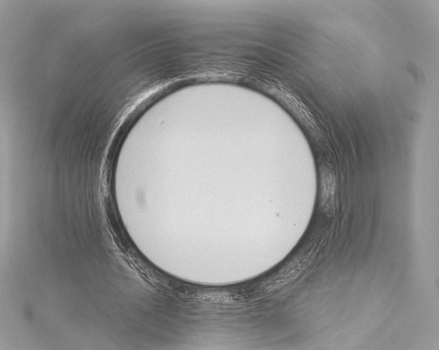 X0000114150628200911191205