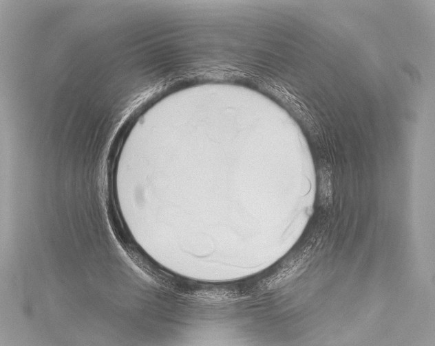 X0000114150630200911191205