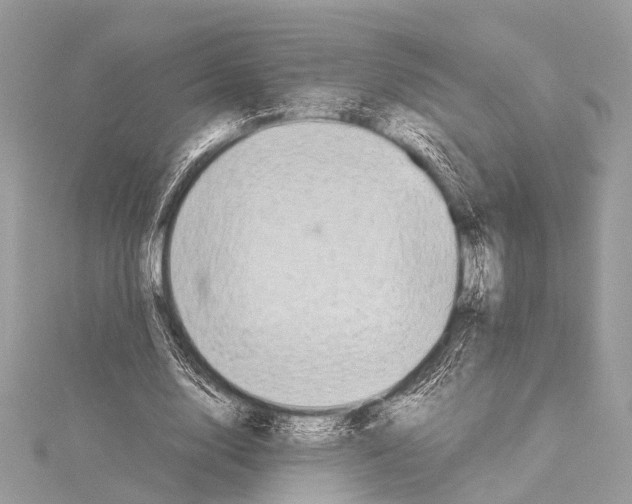 X0000114150632200911191205