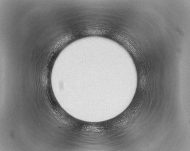 X0000114150635200911191205