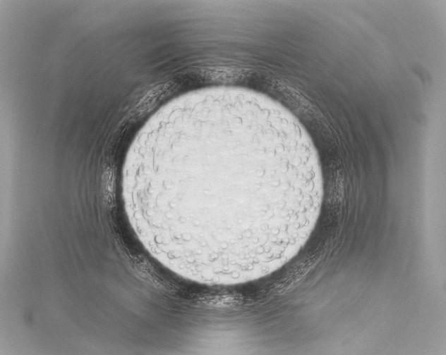 X0000114150646200911191205