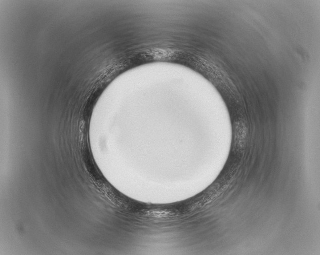 X0000114150650200911191205