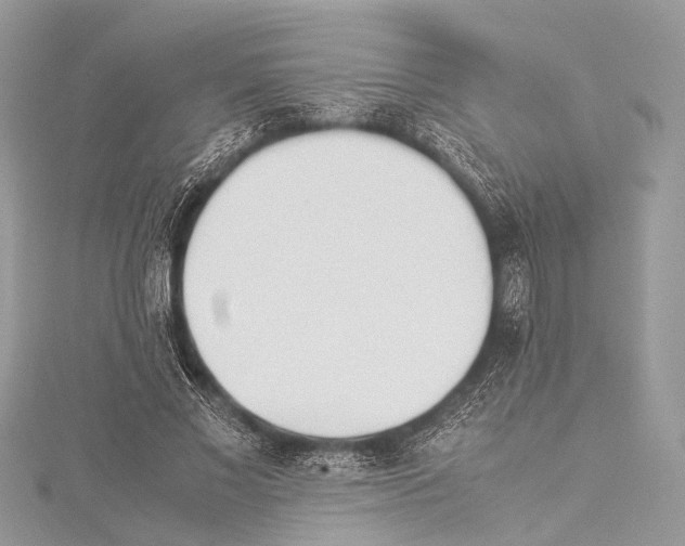 X0000114150685200911191205