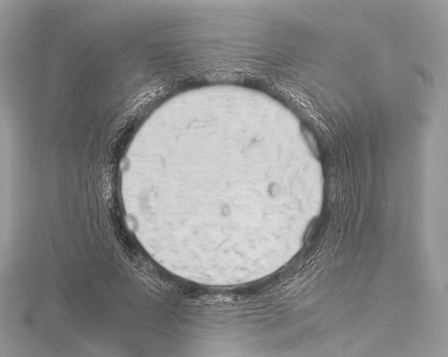 X0000114150687200911191205