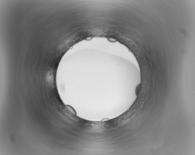 X0000114150720200911191204
