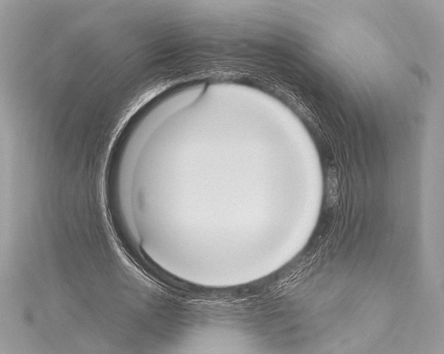 X0000114150726200911191204