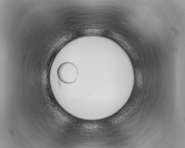 X0000114150729200911191204