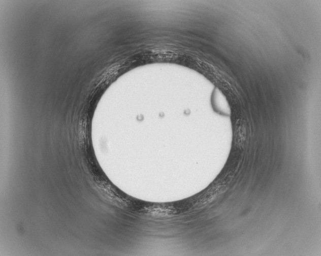 X0000114150756200911191204