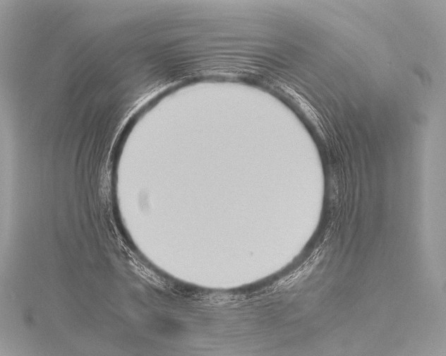 X0000114150779200911191204