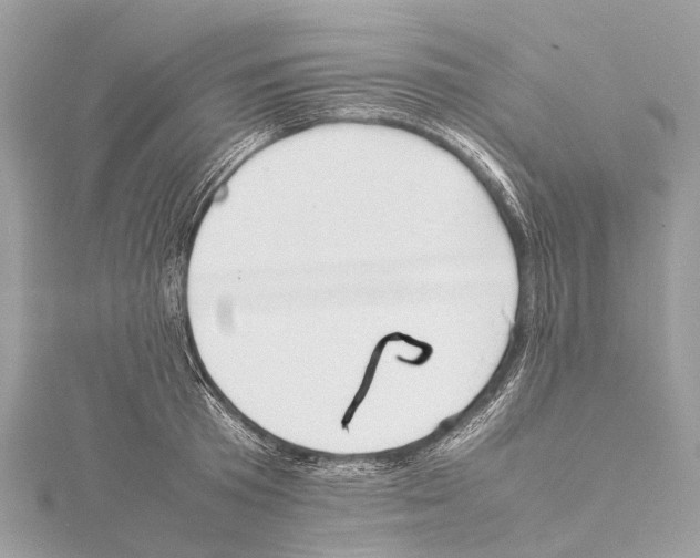 X0000114150801200911191203