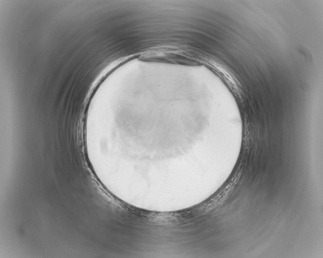 X0000114150808200911191203