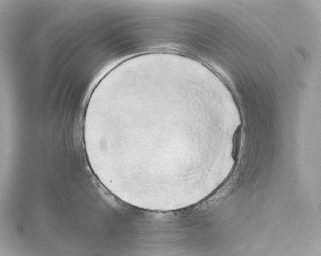 X0000114150816200911191203