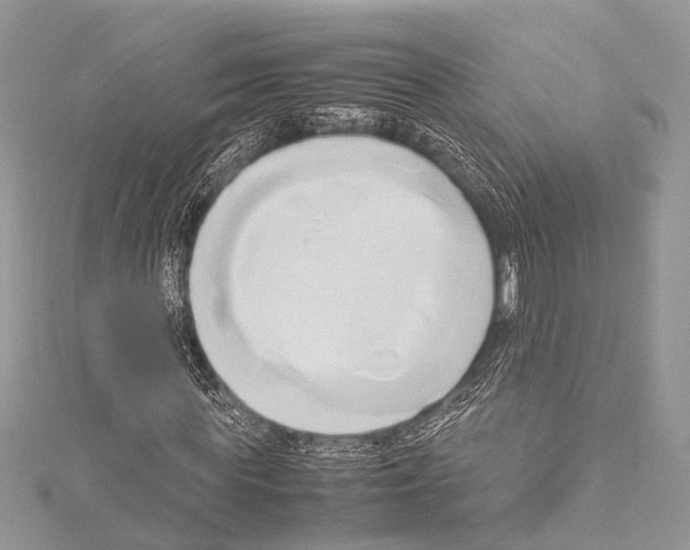 X0000114150819200911191202