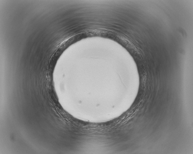 X0000114150822200911191202