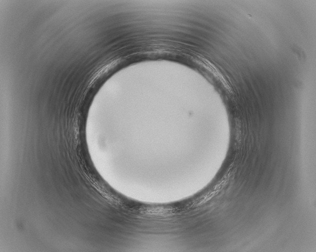 X0000114150826200911191202