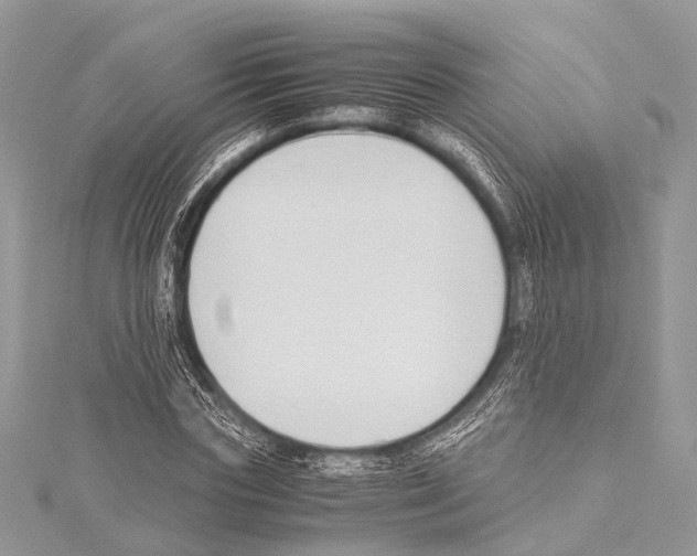 X0000114150827200911191202