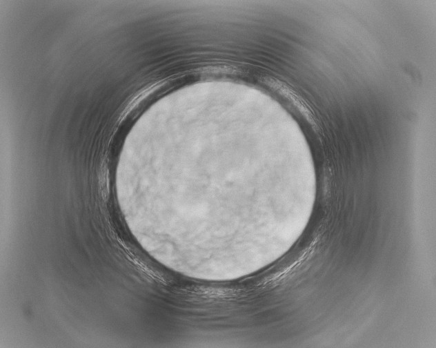 X0000114150829200911191202