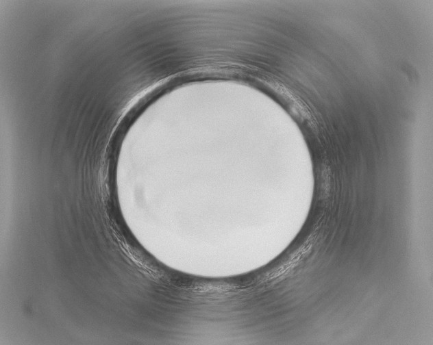 X0000114150830200911191202