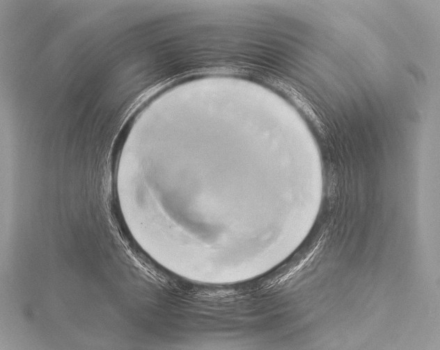 X0000114150837200911191203