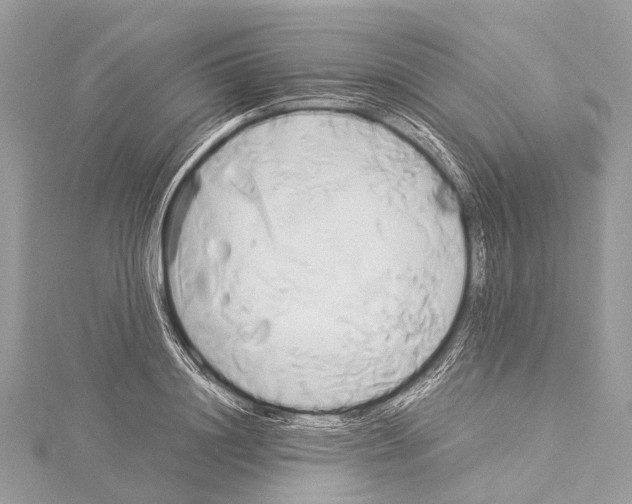 X0000114150844200911191203