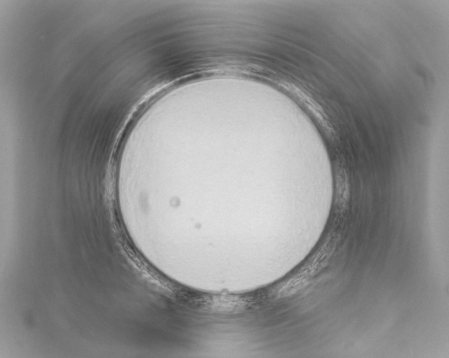 X0000114150848200911191203