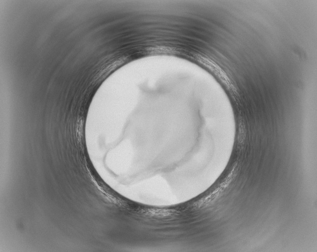 X0000114150849200911191203