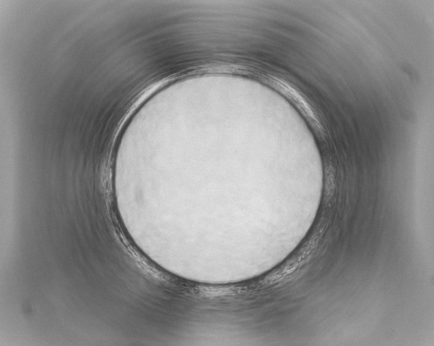 X0000114150852200911191203