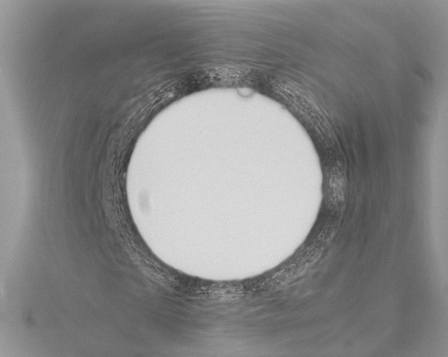 X0000114150865200911191202
