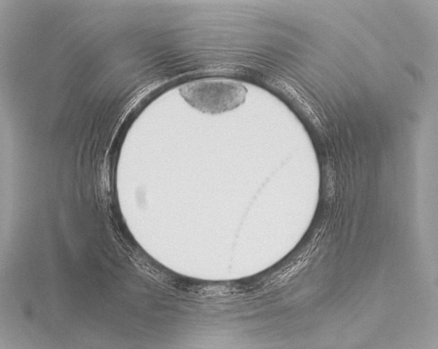 X0000114150883200911191202